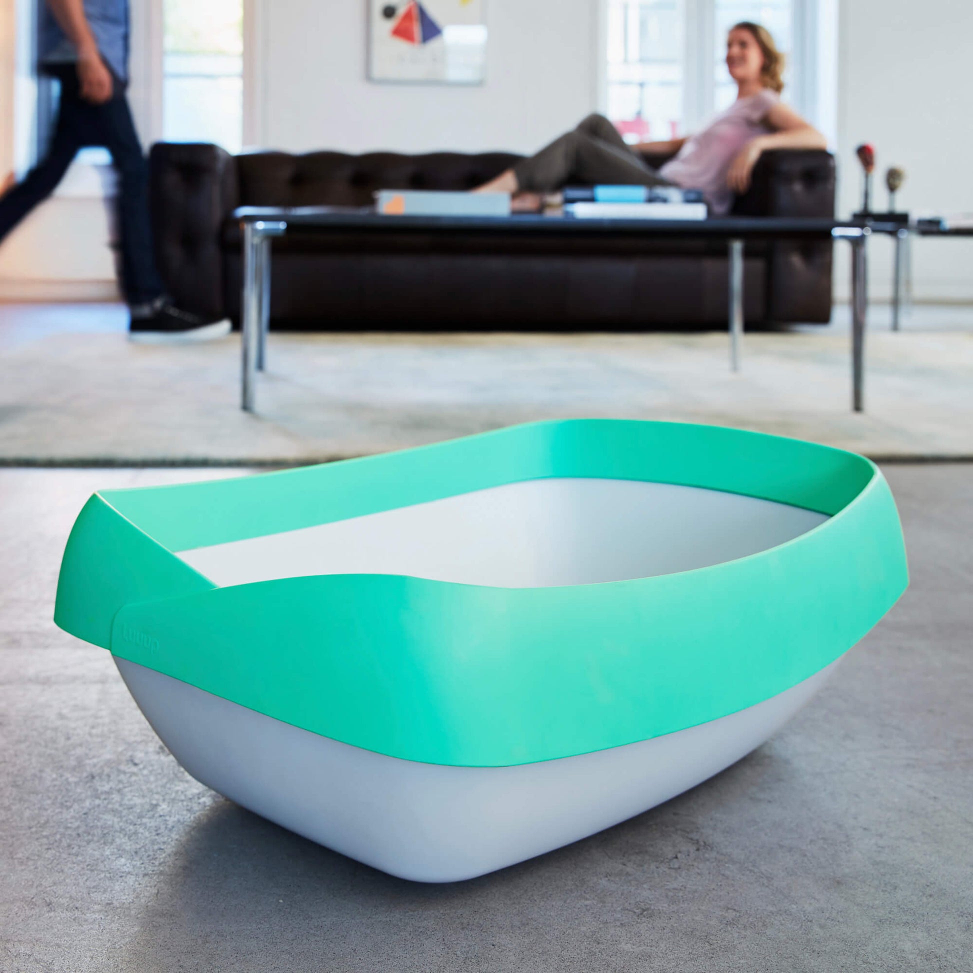 Luuup Cat Litter Box