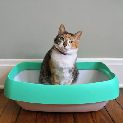 Luuup Cat Litter Box